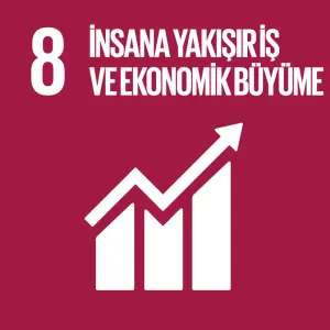 İnsana Yakışır İş ve Ekonomik Büyüme