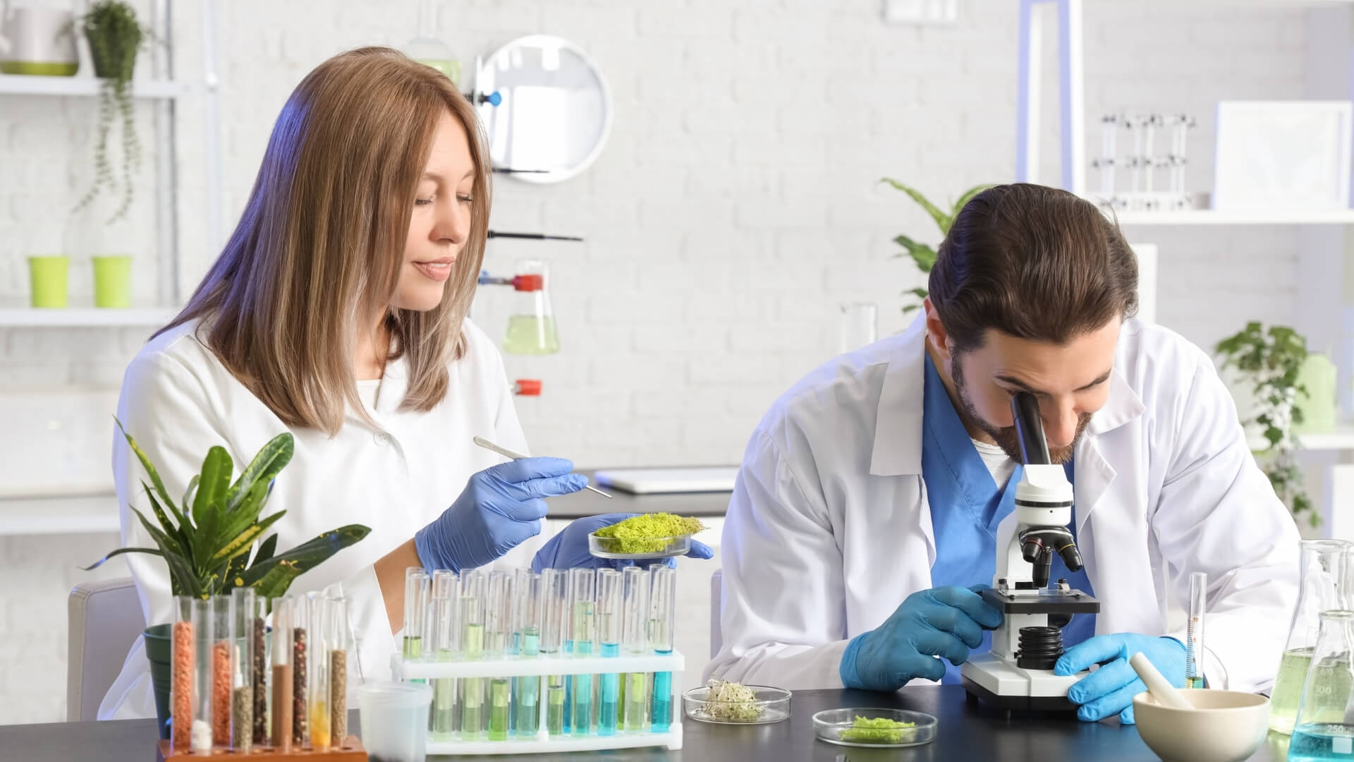 Yurt Dışından Dönene Yıllık 50.000 Avro Hibe