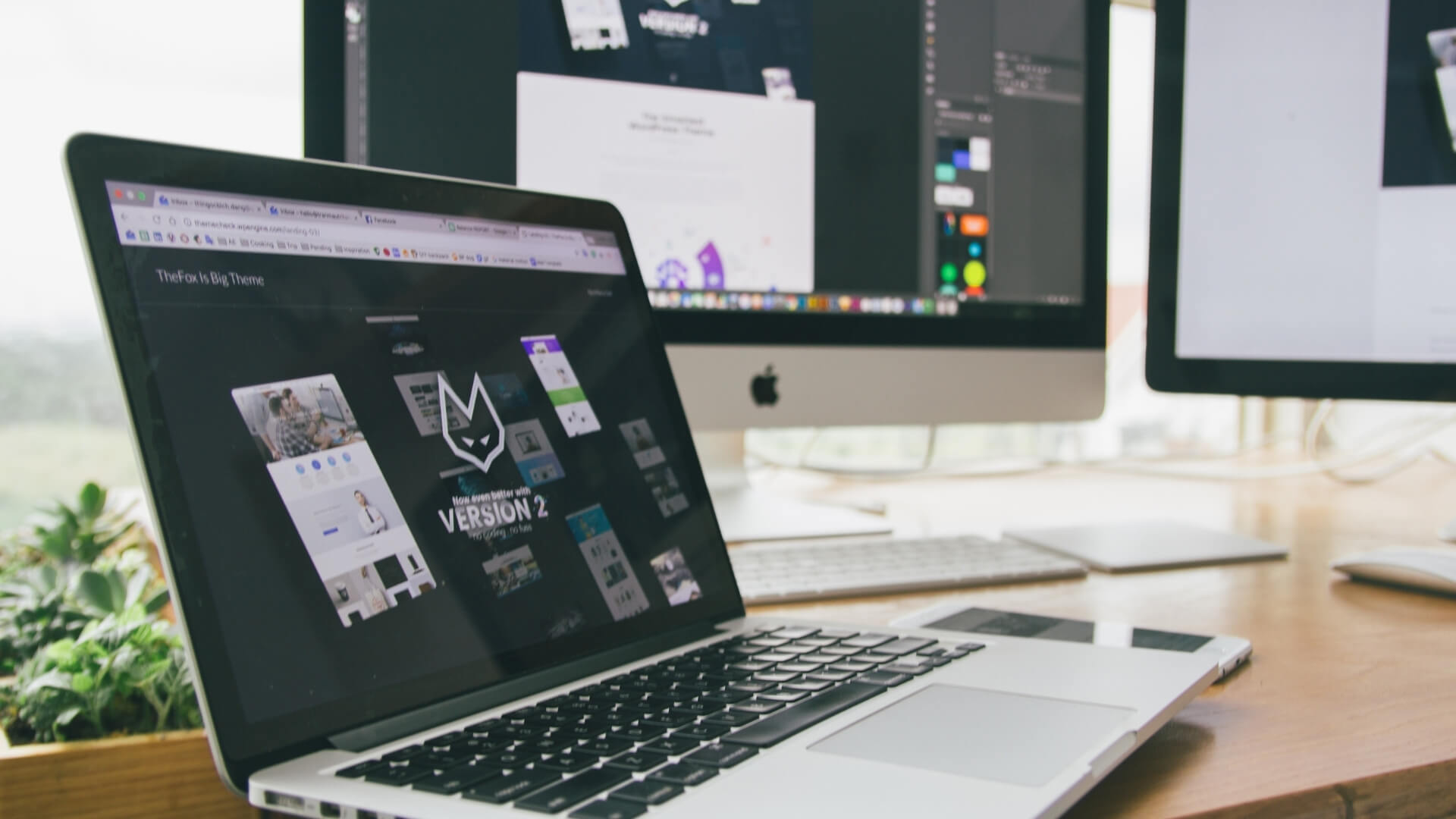 Web Tasarım Web Tasarım